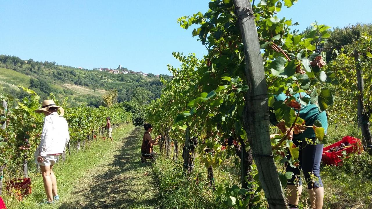 Farmstay Kmetija Stekar Kojsko Екстериор снимка