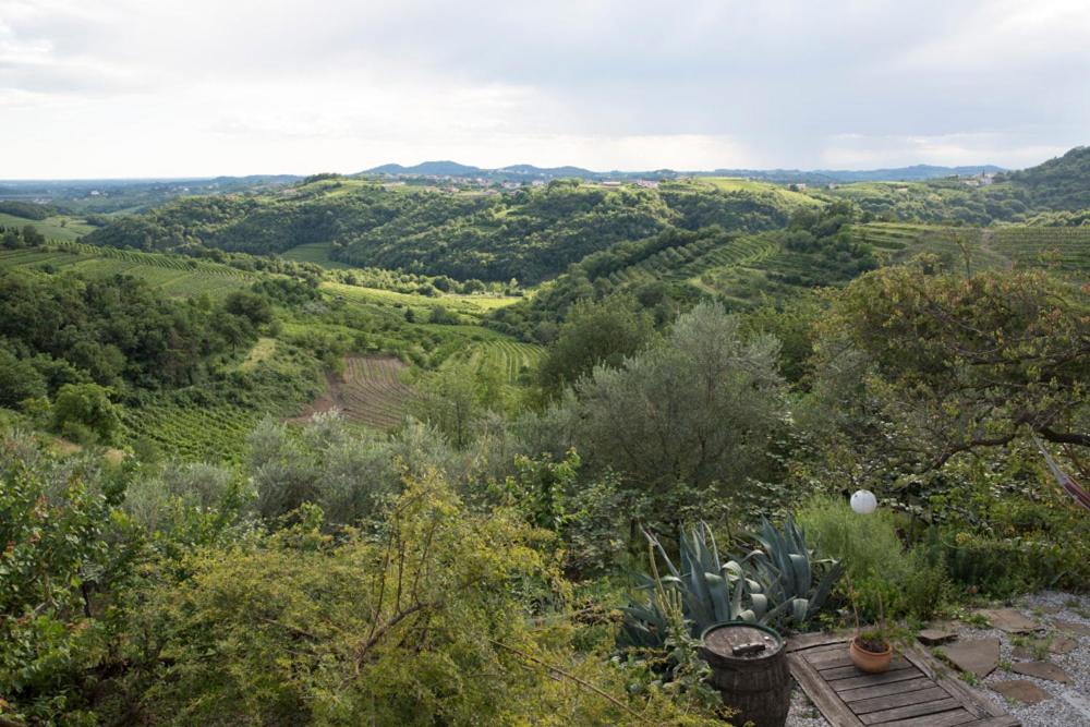 Farmstay Kmetija Stekar Kojsko Екстериор снимка