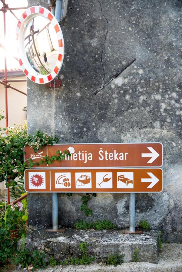 Farmstay Kmetija Stekar Kojsko Екстериор снимка