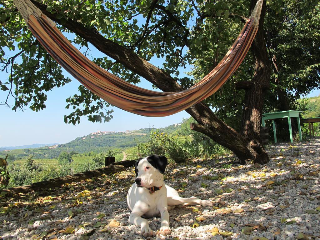 Farmstay Kmetija Stekar Kojsko Екстериор снимка