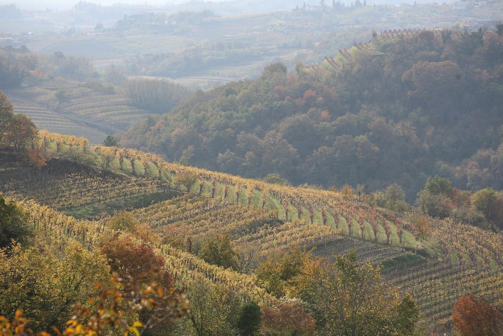 Farmstay Kmetija Stekar Kojsko Екстериор снимка