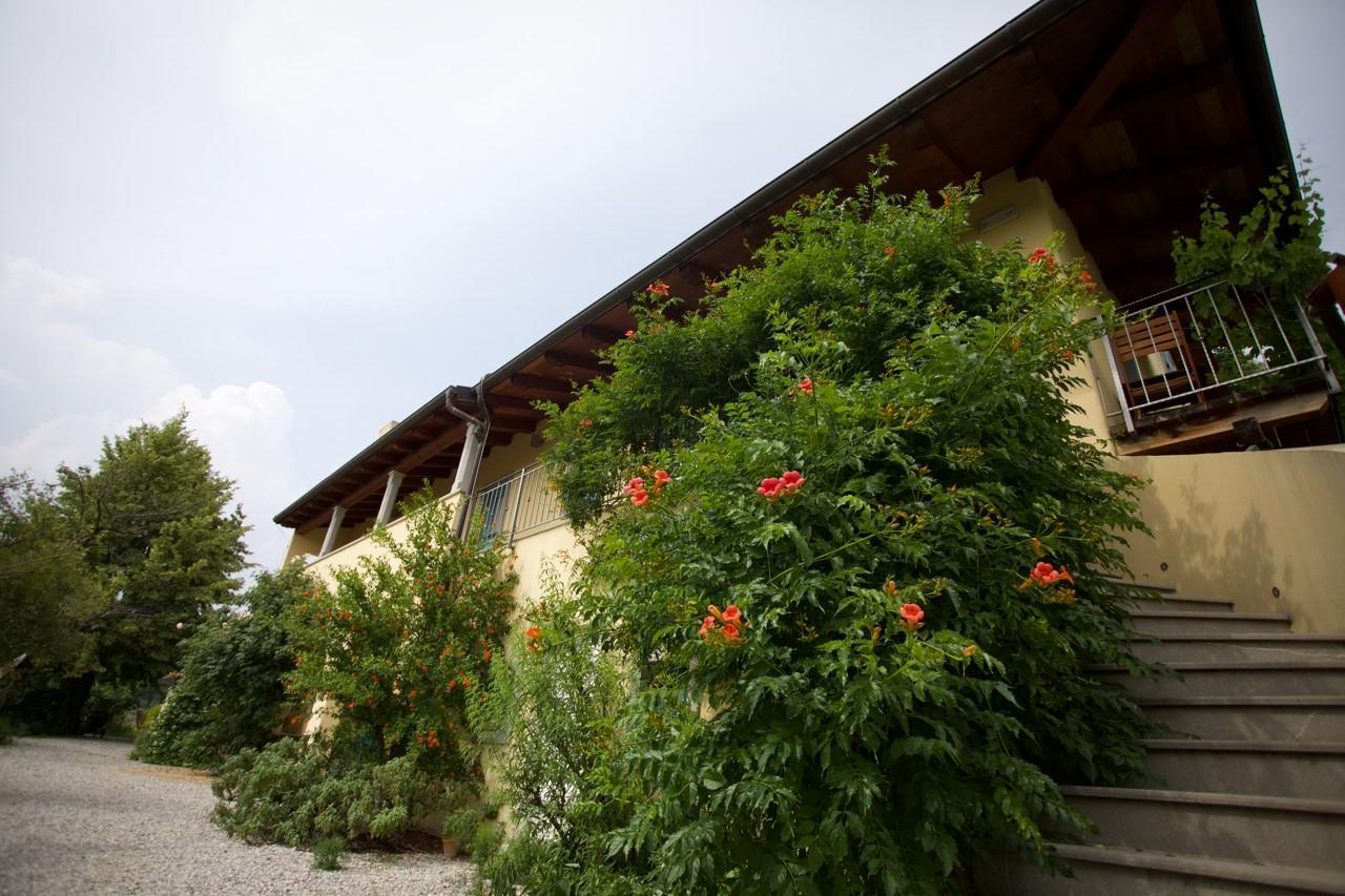 Farmstay Kmetija Stekar Kojsko Екстериор снимка