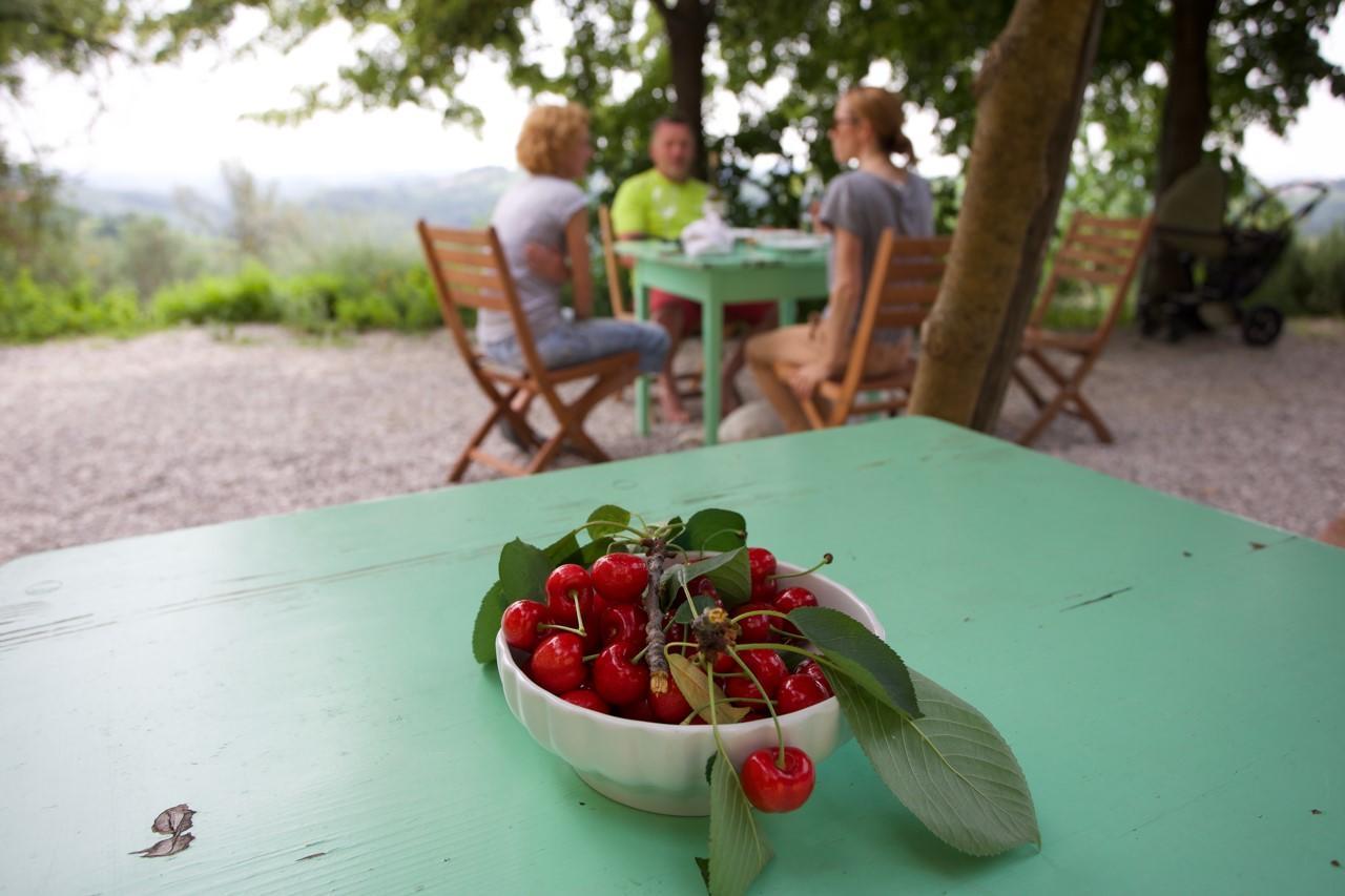Farmstay Kmetija Stekar Kojsko Екстериор снимка